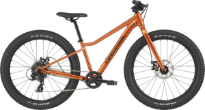 Cannondale Kindervelo Trail Plus 24