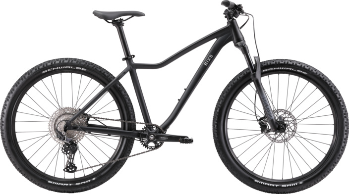 Bixs SPLASH 100