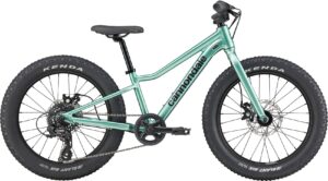 Cannondale Kids Trail Plus 20